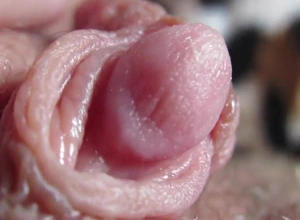 Milf With regard adjacent to Hairy Pussy Ribbing Won't hear of Slimy Love button Ultra-closeup